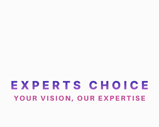 Experts Choice LLC